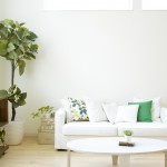 white living room with green accents