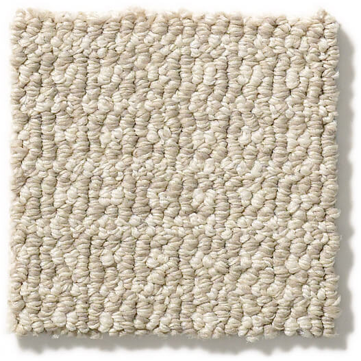 Anderson Tuftex Carpet Sample