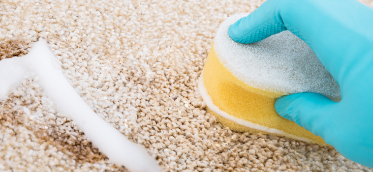 Natural Floor Cleaners for Carpet
